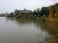 4_Preisfischen_2015_Lutzmannsburg_004