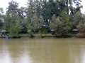 4_Preisfischen_2015_Lutzmannsburg_012