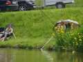 2016-05-29_Preisfischen_Kalkgruben_031