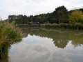 2017-09-10_Preisfischen_Oberpullendorf_001