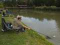 2017-09-10_Preisfischen_Oberpullendorf_012